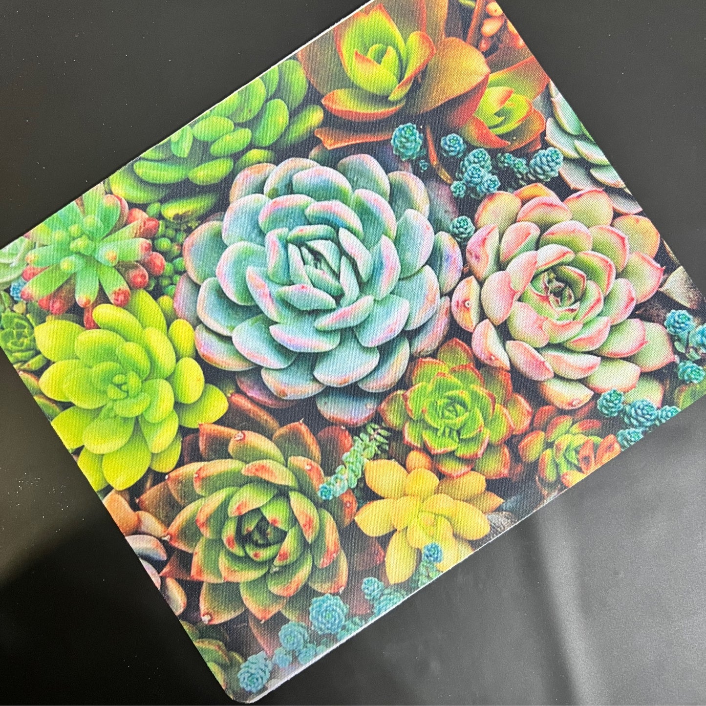 Succulent Plant Mouse Pad